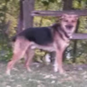 Meet your Posher, Joan